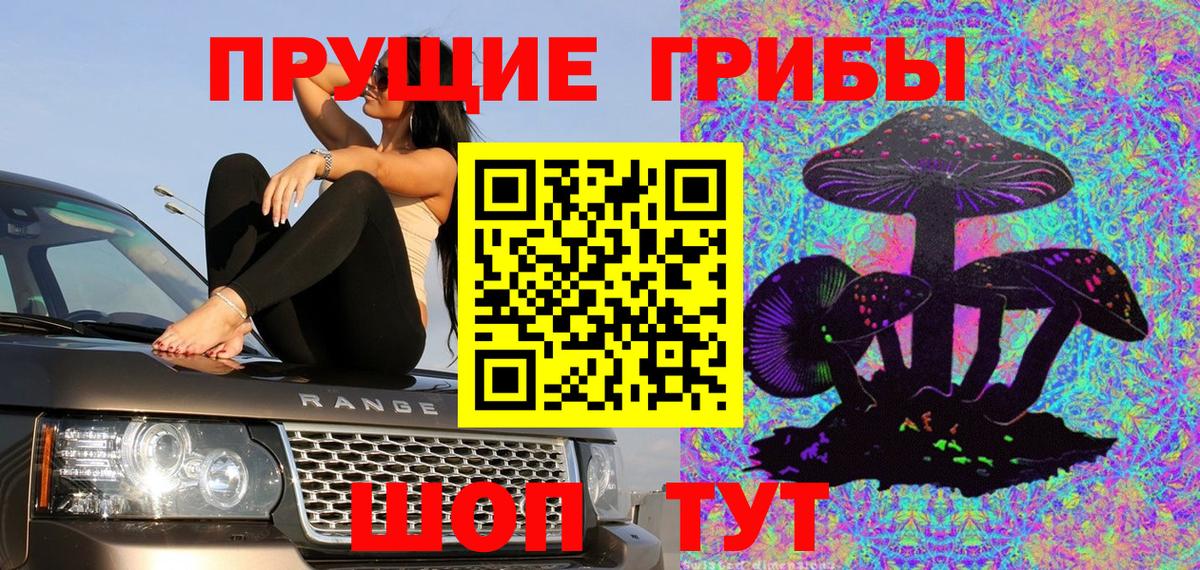 Псилоцибиновые грибы Psilocybe Аксай